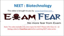 NEET Biology Biotechnology : Multiple Choice Previous Years Questions MCQs 1