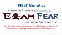 NEET Biology Genetics : Multiple Choice Previous Years Questions MCQs 11