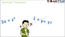 Maths Algebraic Expressions part 15 (Multiply Polynomials) CBSE Class 8 Mathematics VIII