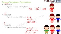 Maths Algebraic Expressions part 6 (Types of Algebraic Expressions) CBSE Class 8 Mathematics VIII