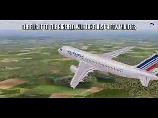 Pilot VS Plane  Airbus A320 Crash During an Airshow  Air France Flight 296