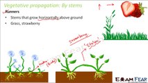 Biology Reproduction in Plants Part 7 (Vegetative Propagation by Stems, Leaves) Class 7 VII