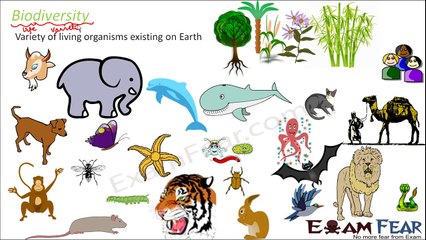 Biology Plants & Animal Conservation part 1 (Introduction to Biodiversity) CBSE class 8 VIII