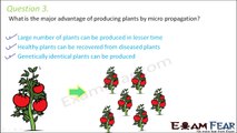 Biology Food Production part 15 (Questions) class 12 XII