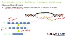 Biology Molecular Basis of Inheritance part 23 (Additional Complexity in Eukaryotes) class 12 XII