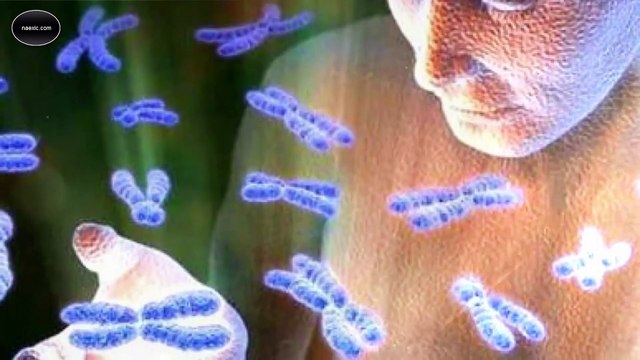 Влияние слов на ДНК человека. Как вы говорите - так и живете.