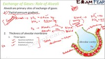 Biology Breathing & Exchange of Gases part 12 (Exchange of gas: Role of Alveoli) CBSE class 11 XI