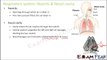 Biology Breathing & Exchange of Gases part 4 (Human Respiration: Nostril & Pharynx) CBSE class 11 XI