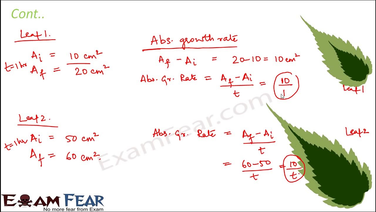 Biology Plant Growth & Development part 6 (Absolute & relative growth) CBSE class 11 XI