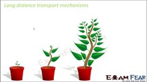 Biology Transport in Plants part 11 (Imbibition , long distance transport) CBSE class 11 XI