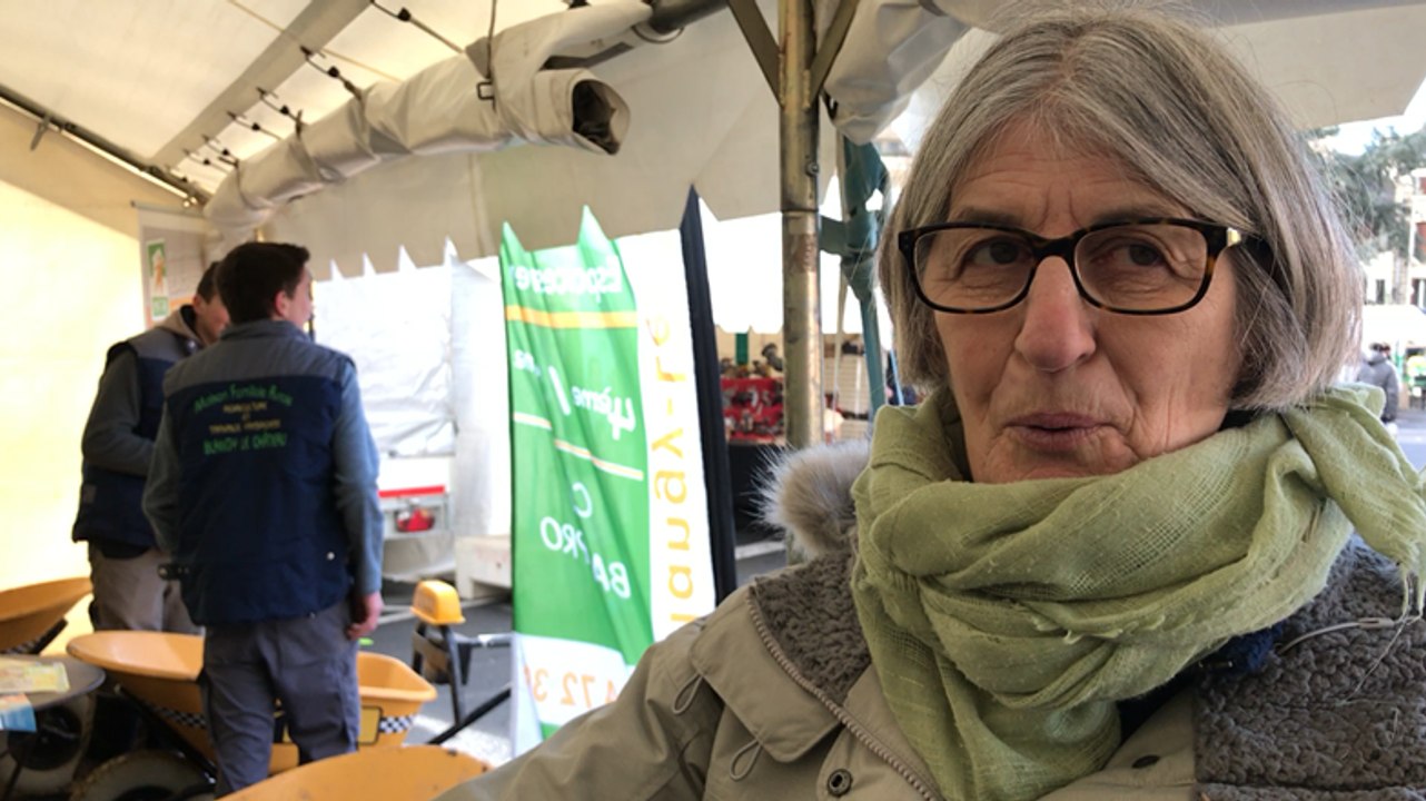 Foire aux arbres de Lisieux : pour tout savoir...