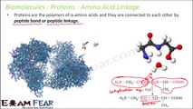 Biology Biomolecules Plants part 14 (Peptide bond, Fibrous, Globular protein) CBSE class 11 XI