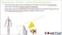 Biology Biomolecules Plants part 12 (Basic, Acidic, Neutral Amino Acids) CBSE class 11 XI