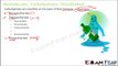 Biology Biomolecules Plants part 5 (Carbohydrates classification) CBSE class 11 XI
