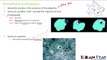 Biology Biological Classification part 13 (Protozoa : Amoeboid, flagellated) CBSE class 11 XI