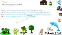 Biology Diversity in Living World part 12 (Prbolems, Questions, Numericals) CBSE class 11 XI
