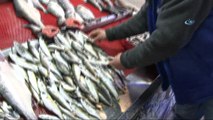 Karadeniz’de balık kalmayınca balıklar Ege’den geldi