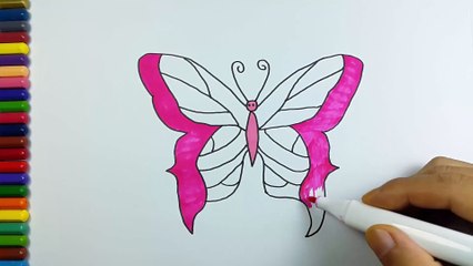 How to Draw Butterfly Coloring Pages  Art Colours for Kids  Learn Colors