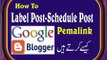 How To Label Post,Schedule Post,Permalink Blogger Urdu Hindi David