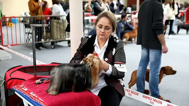 Drôme / Valence : le parc des expos est réservé aux toutous ce week-end