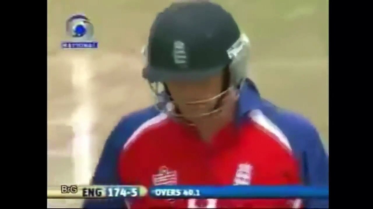 Best Run Out By MS Dhoni IND vs NZ Cricket