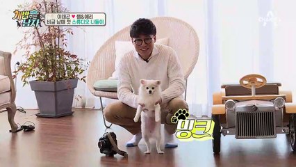 (견심 저격) 쌤 & 예리, 애견 전문 스튜디오 방문하다~