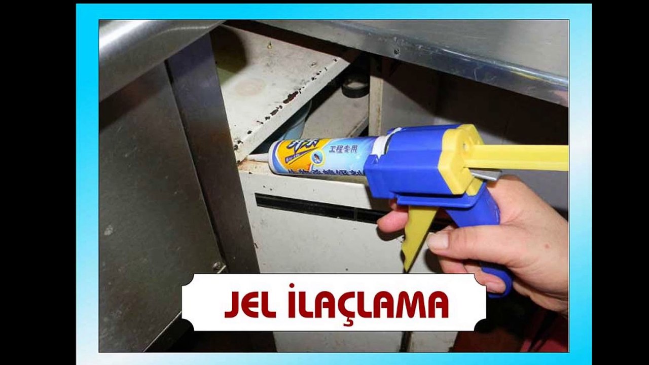 Antalya Böcek İlaçlama