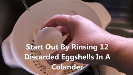 How To Make Eggshell Calcium