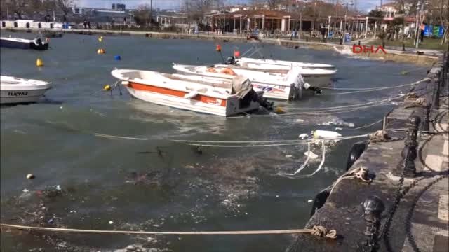 İstanbul'da Lodos Direk Devirdi, Dalgalar 1 Metreyi Buldu