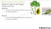 Biology Reproduction part 12 (Sexual reproduction in plants: Sexual vs. asexual) CBSE class 10 X