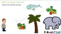 Biology Diversity in Living Organisms part 25 (Nomenclature) CBSE class 9 IX