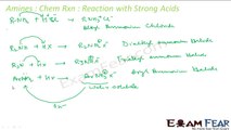 Chemistry Amines part 20 (Chemical Reactions) CBSE class 12 XII
