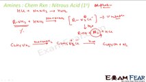Chemistry Amines part 21 (Chemical Reaction: Nitrous Acid reaction) CBSE class 12 XII