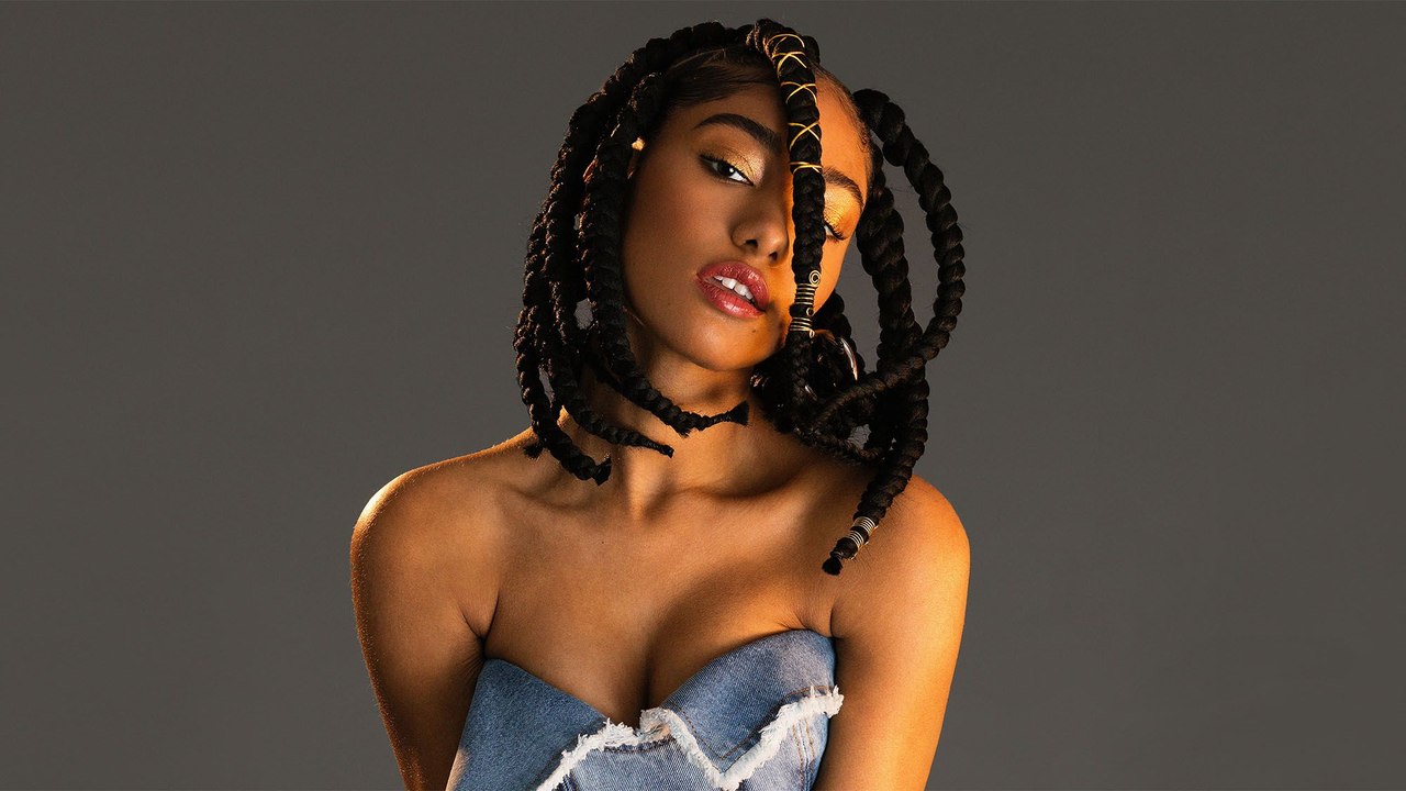 Jumbo Zigzag Braids