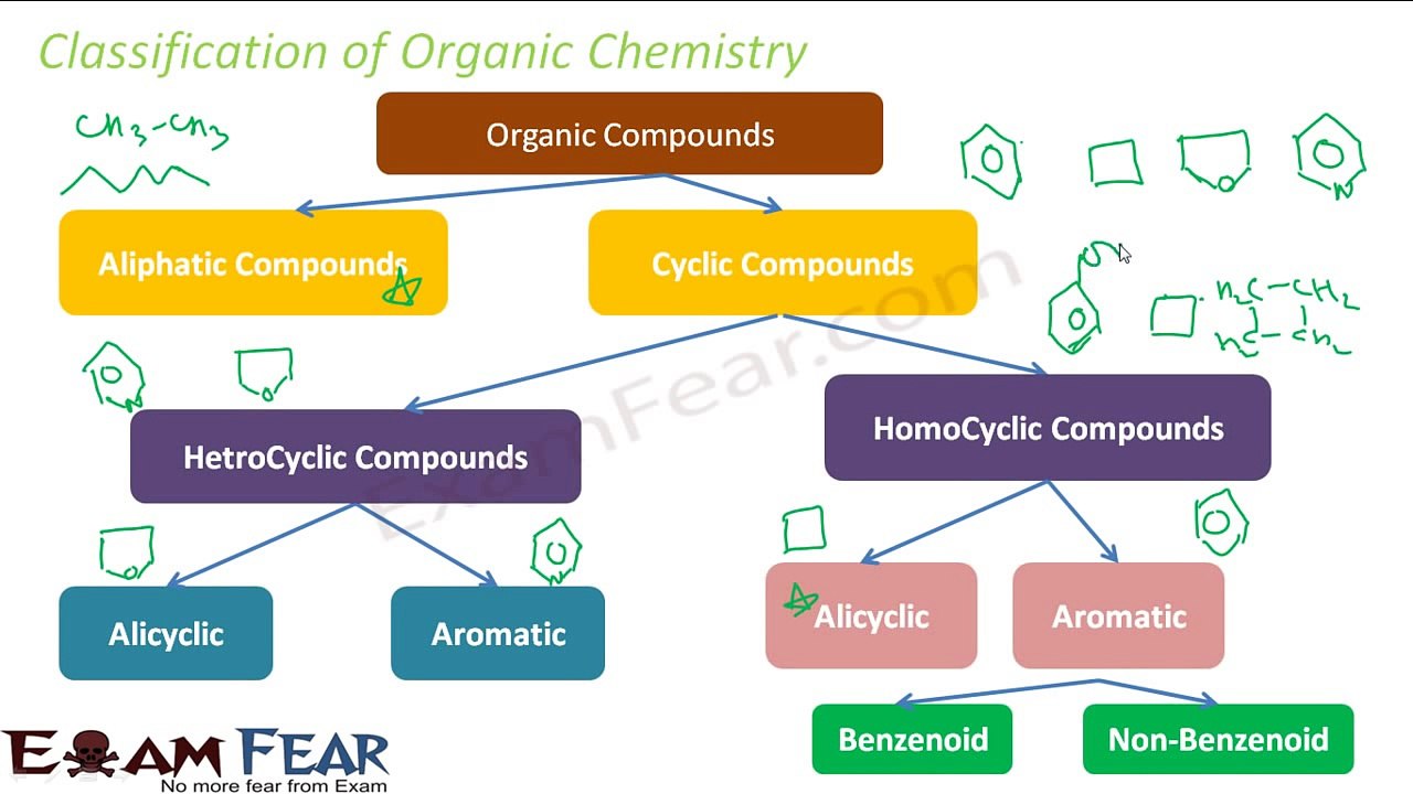 Chemistry Organic Chemistry Basics part 5 (Classification of organic compounds) CBSE class 11 XI