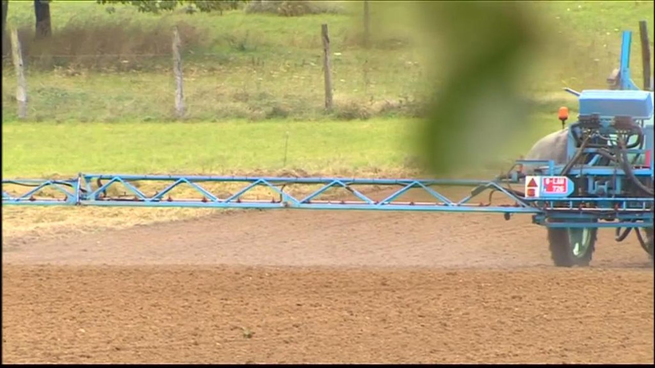 Glyphosat: Demo gegen Monsanto-Kauf durch Bayer in Lyon