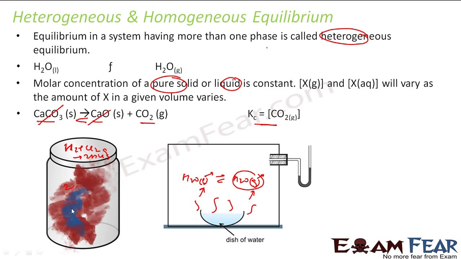 Chemistry Equilibrium Part 10 Heterogeneous Homogeneous Equilibrium Cbse Class 11 Xi Video Dailymotion