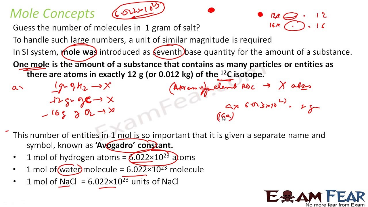 Chemistry Basic Concepts of Chemistry part 12 (Mole Concept) CBSE class 11 XI