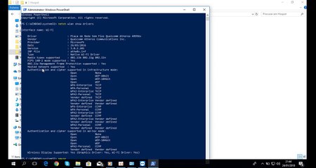 Microsoft Hosted Network Virtual Adapter