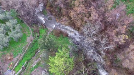Río Lanjarón,3 de Marzo 2018.