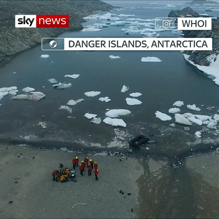 'Supercolony' of Adelie penguins found in Antarctica