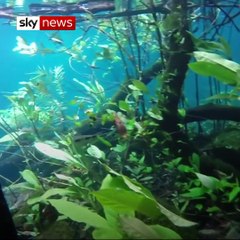 Hiking trail turns into water world