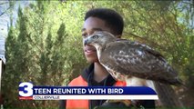 Heartwarming Video Shows Surprise Reunion Between Tennessee Teen, Pet Hawk