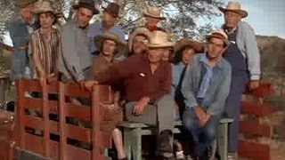 Green Acres S03e06 Dont Count Your Tomatoes Before Thryre Picked