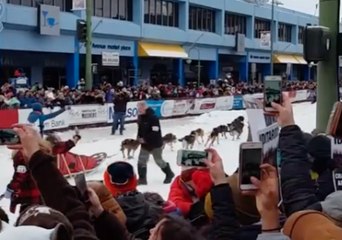 And Go! Iditarod's Ceremonial Start Kicks Off in Anchorage