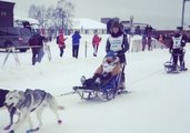 Dogs, Sleds, and Snow: The Iditarod Trail Race Begins