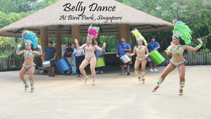 Belly Dance at Bird park, Singapore