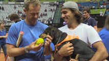 Perros en adopción recogen pelotas en el Abierto de Brasil