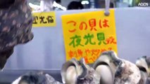 Japanese Street Food: Giant Sea Snail (Yakogai)