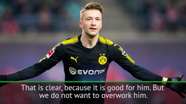 Dortmund will not overwork Reus - Stoger